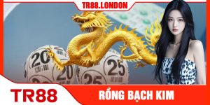 Rồng Bạch Kim