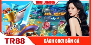 Cách Chơi Bắn Cá