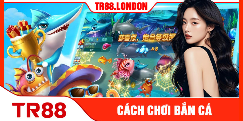 Cách Chơi Bắn Cá